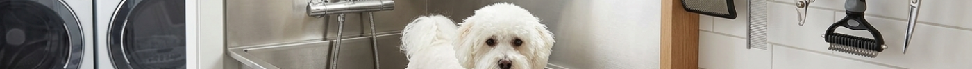 The DIY At-Home Pet Grooming Station: A Practical Step-by-Step Guide