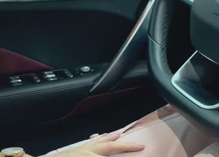 e6ef6b18-e80e-4718-871a-41e3dff6e2d0-车载充电.mp4